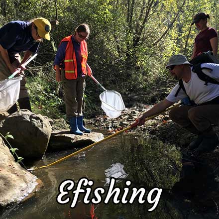 Pat Molnar General Engineering Los Osos Creek Stabilization Project San Luis Obispo County