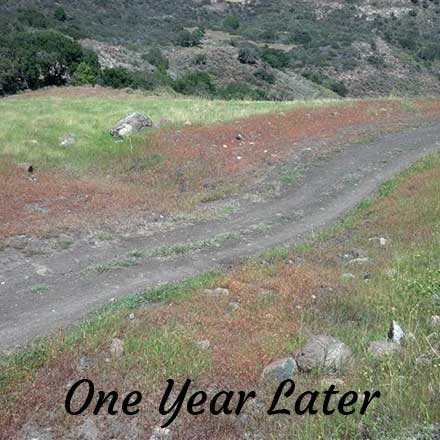 Pat Molnar General Engineering Ranch Road Repairs San Luis Obispo County