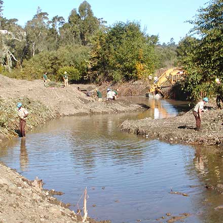 Pat Molnar General Engineering Stream and Creek Restoration San Luis Obispo County