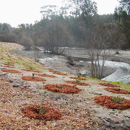 Pat Molnar General Engineering Stream and Creek Restoration San Luis Obispo County