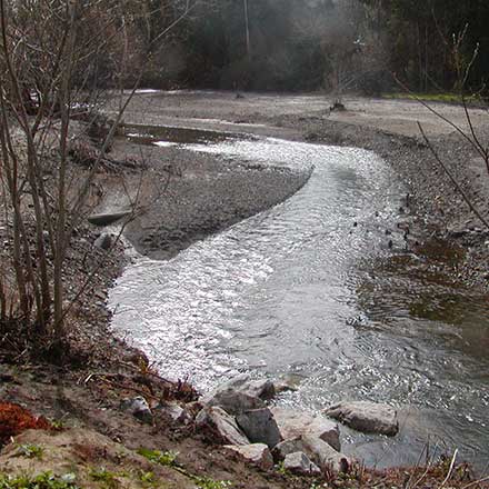 Pat Molnar General Engineering Stream and Creek Restoration San Luis Obispo County