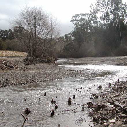 Pat Molnar General Engineering Stream and Creek Restoration San Luis Obispo County