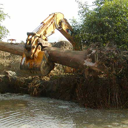 Pat Molnar General Engineering Stream and Creek Restoration San Luis Obispo County