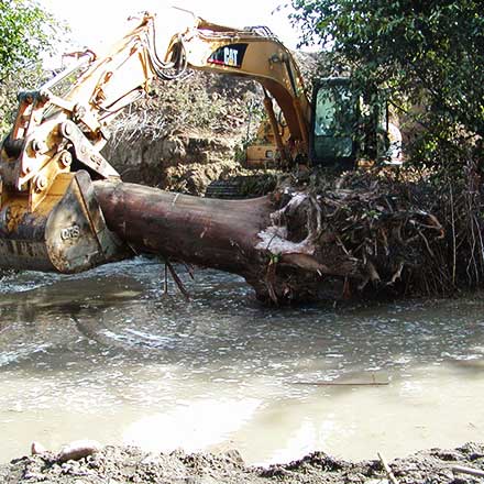 Pat Molnar General Engineering Stream and Creek Restoration San Luis Obispo County